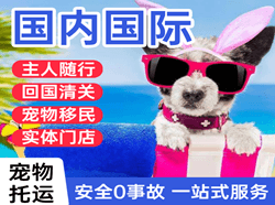 临沂启阳空运地址国际宠物托运 【国